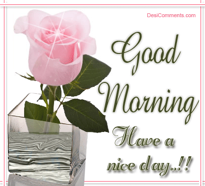 Have A Nice Day !-wb01157