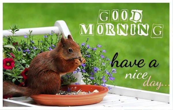 Have A Nice Day !!-wg01365