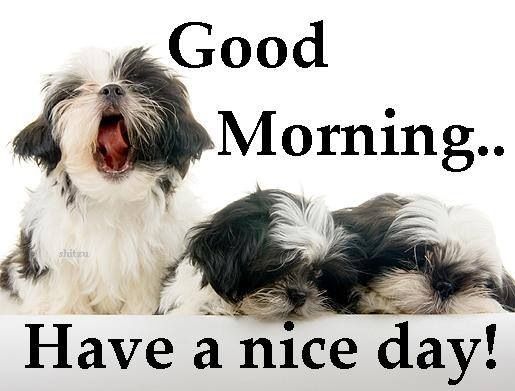 Have A Nice Day !-wg6408