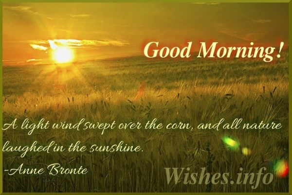 Have A Sunshine Morning-wb0631