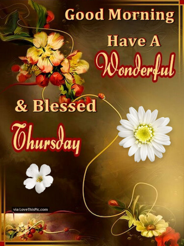 Have A Wonderful And Blessed Thursday-wg01659