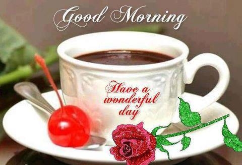 Have A Wonderful Day - Good Morning-wg01660