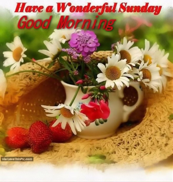 Have A Wonderful Sunday - Good Morning-wg01661