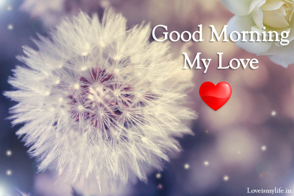 Have Amazing Good Morning My Love-wm1056