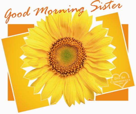 Have Good Morning Sister-wg26