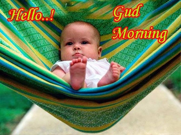 Hello Gud Morning-wg01367