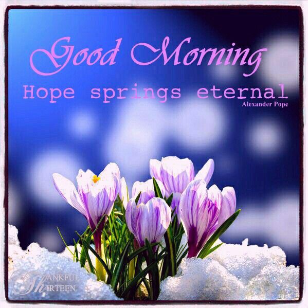 Hope Springs Eternal Good Morning-wg01772