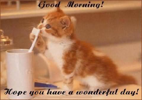 Hope U Have A Wonderful Day - Good Morning-wg0198