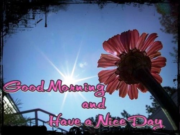 Hopr You Have The Best Day-Good Morning-wg01369