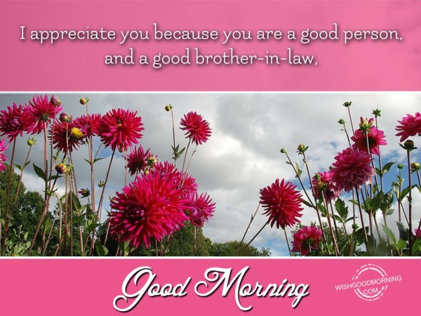 I Aprreciate You Good Morning-wm235