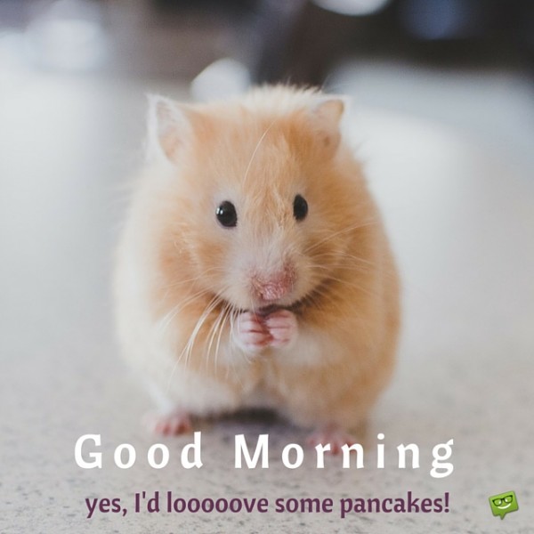 I Did Love Pancakes - Good Morning-wg015080