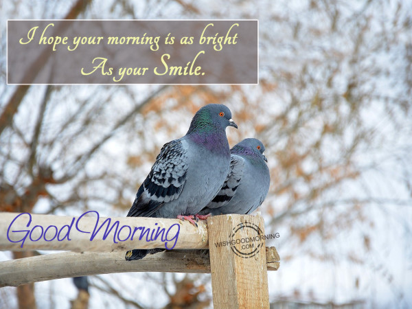 I Hope Your Morning Is As Bright As Your Smile-,mg56