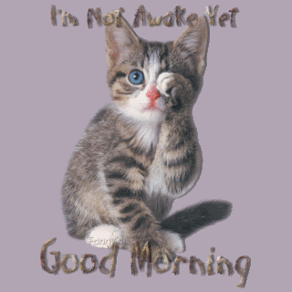 I M Not Awake - Good Morning-wg0546