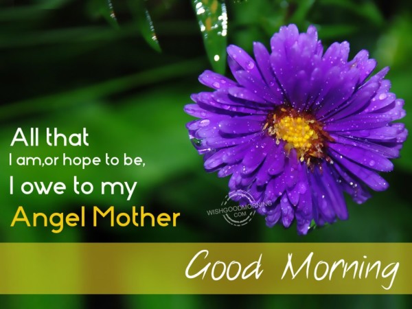 I Owe To My Angel Mother-Good Morning !-wg9509