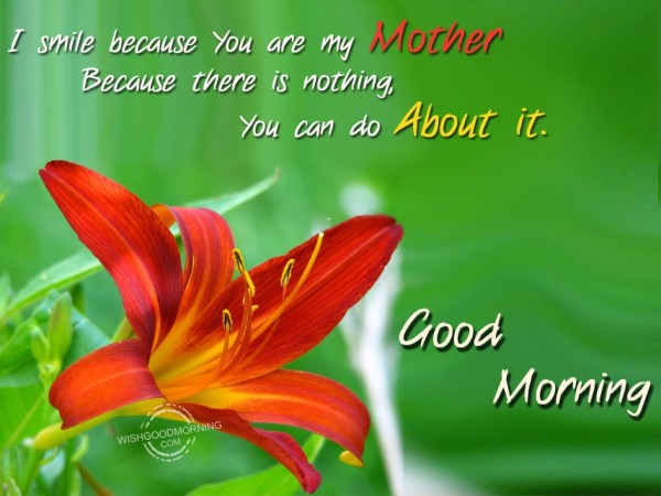 I Smile Because You Are My Mother-wg9510