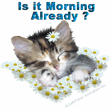 Is It Morning Already-wg0547