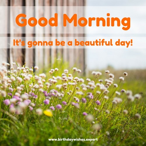 It Is Gonna Be A Beautiful Day !-wg01774