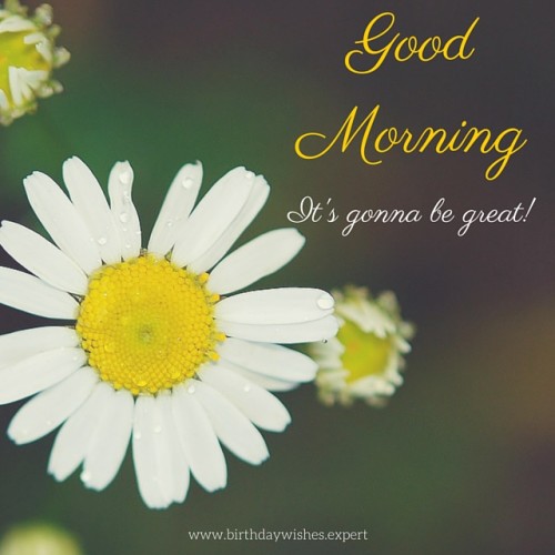 It Is Gonna Be Great Good Morning !-wg01086