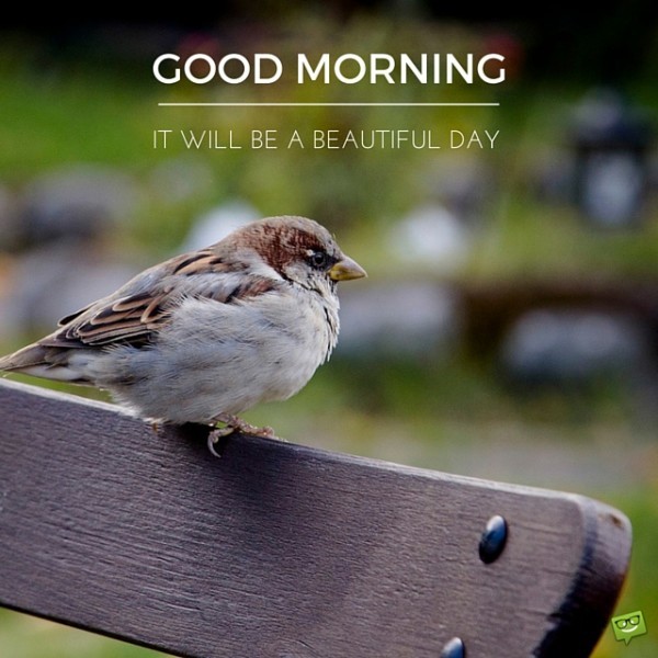 It Will Be A Beatiful Day Good Morning-wg01775