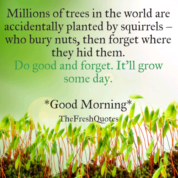 It Will Grow Someday - Good Morning-wg3612