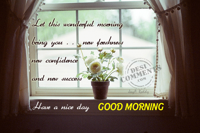 Let This Wonderful Morning Bring You New Freshness-wg06513
