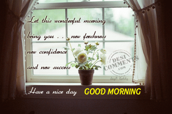 Let This Wonderful Morning Being You-wg01231