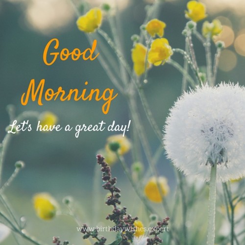 Lets Have A Great Day - Good Morning-wg015084