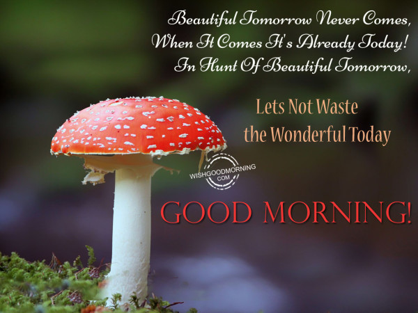 Lets Not Waste The Wonderful Today-Good Morning-wg8131