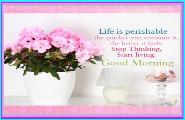 Life Is Perishable - Good Morning-wg017156