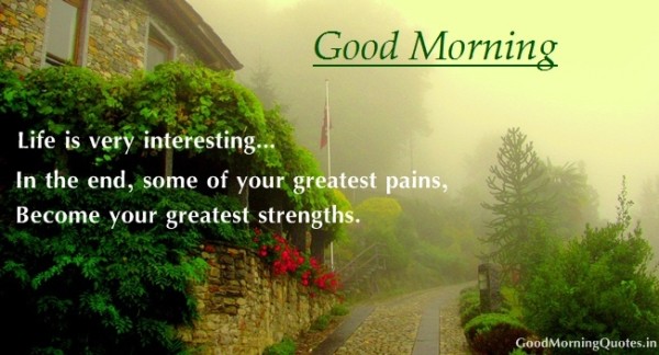 Life Is Very Interesting - Good Morning-wg017157