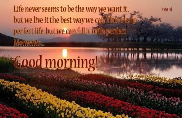 Life Never Seems To Be The Way - Good Morning-wg06514