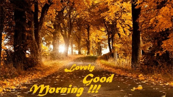 Lovely Good Morning To All-wg017158