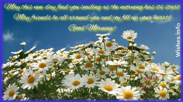MAy Friends Be All Around You - Good Morning-wb0642