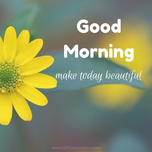 Make Today Beautiful - Good Morning-wg03418