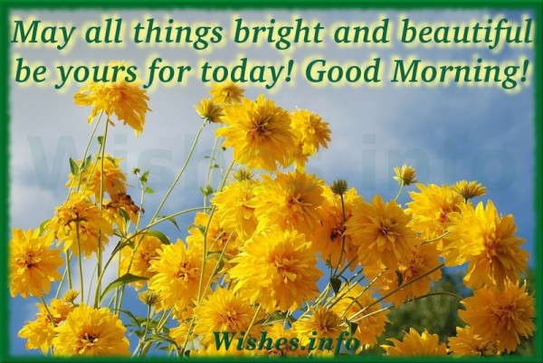 May All Things Bright Good Morning