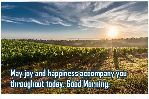 May Joy And Happiness Accompany-wg01646