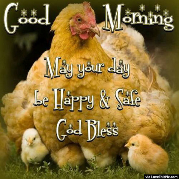 May Your Day Be Happy And Safe-wg01677