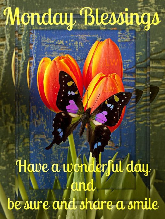 Monday Blessing - Have A Wonderful Day-wg6