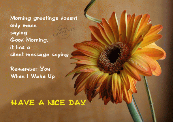 Morning Greetings Doesnot Mean Saying Good Morning-wg06515