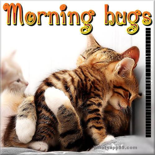 Morning Hugs-wg0549