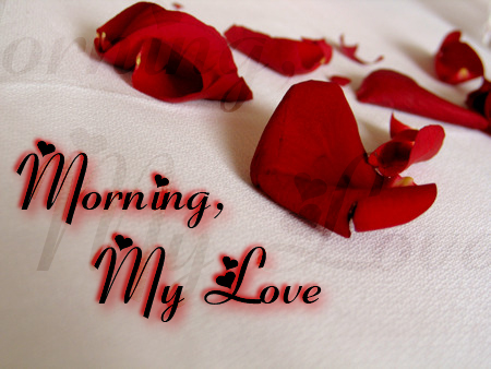 Morning My Love-wm1062