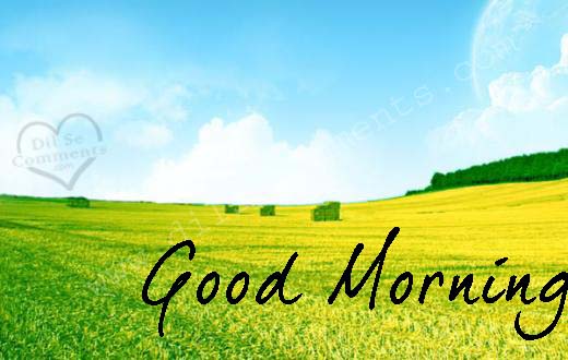 Morning View-wg03312