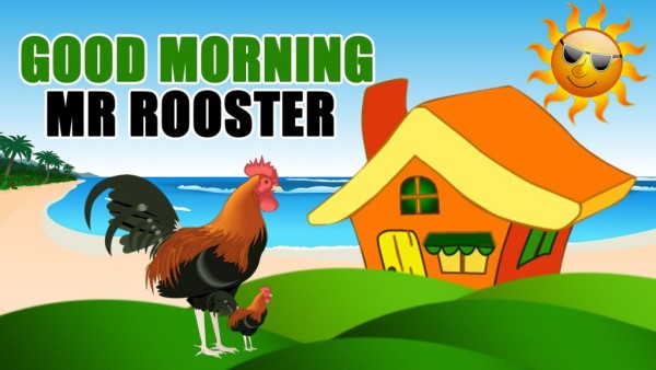 Mr.Rooster Wishing You Good Morning-wm0435