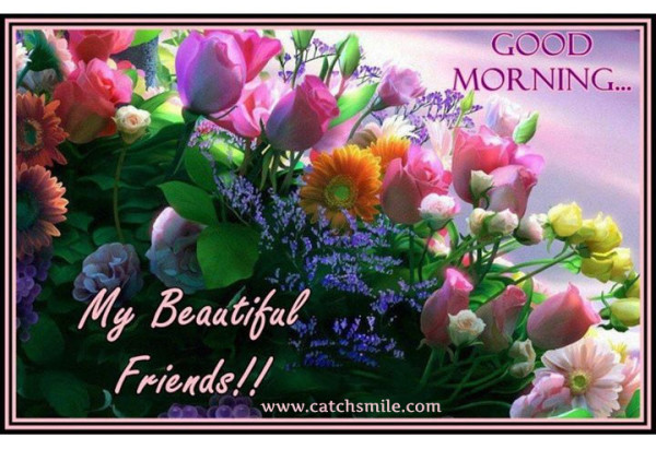 My Beautiful Friends Good Morning-wg8515