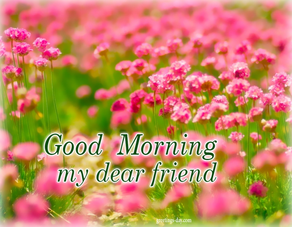 My Dear Good Morning