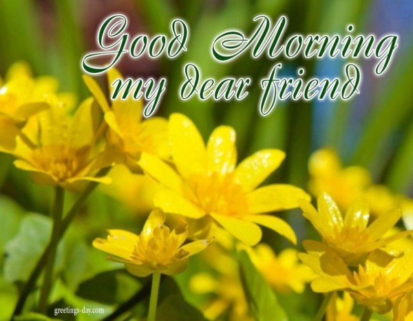 My Dear Sweet Friend Wishing U Good Morning-wg017172