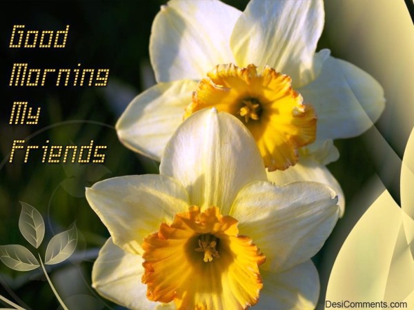 My Friend Good Morning-wg026