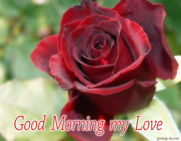 My Love A Very Happy Morning To U-wg0927