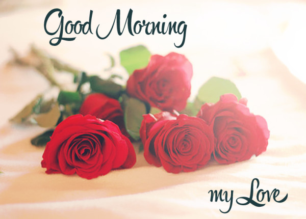 My Love Good Morning-wm1063