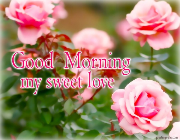 My Sweet Love-Good Morning-wg8259